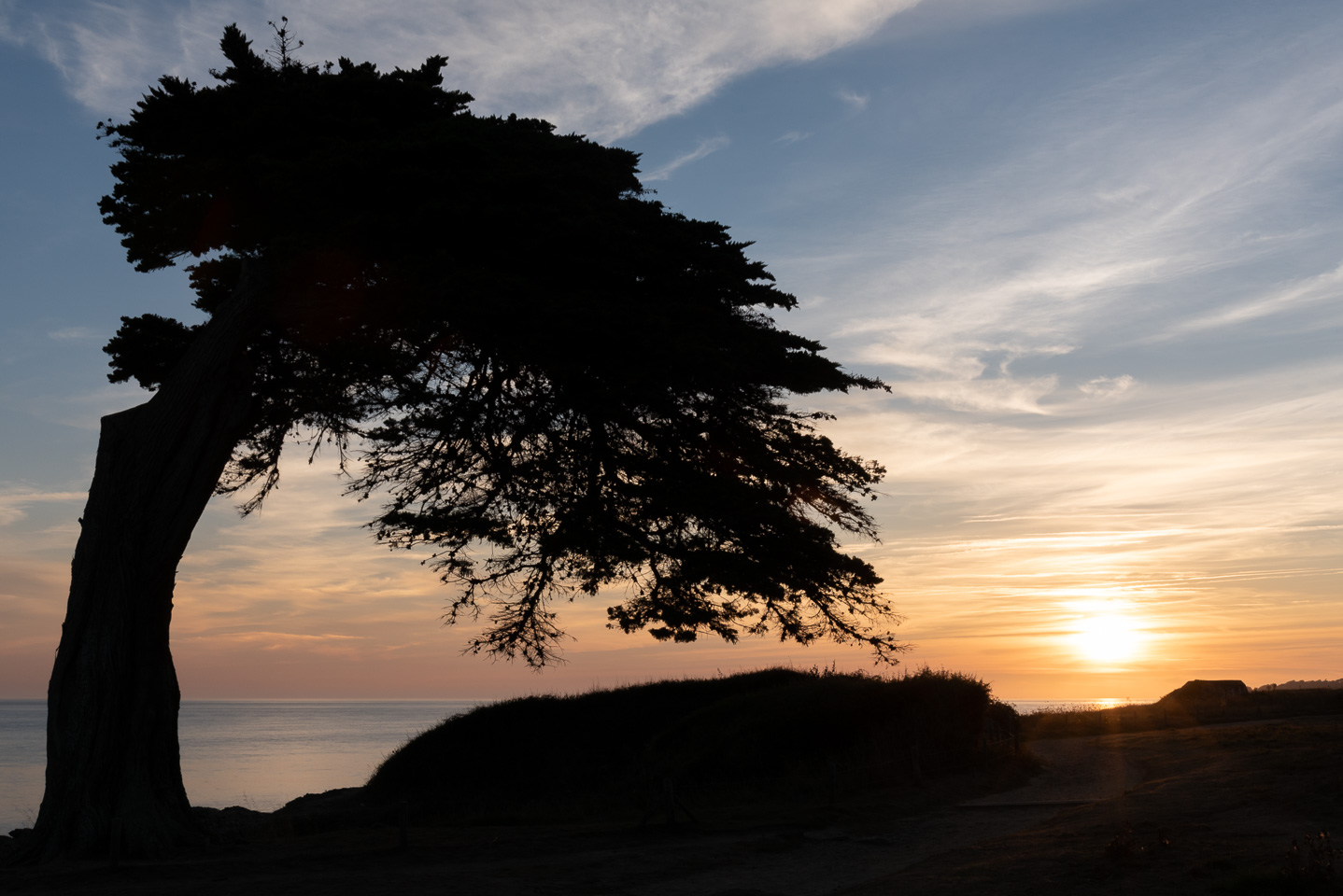 L'arbre aux fées