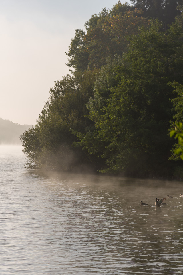 Matin brumeux #1