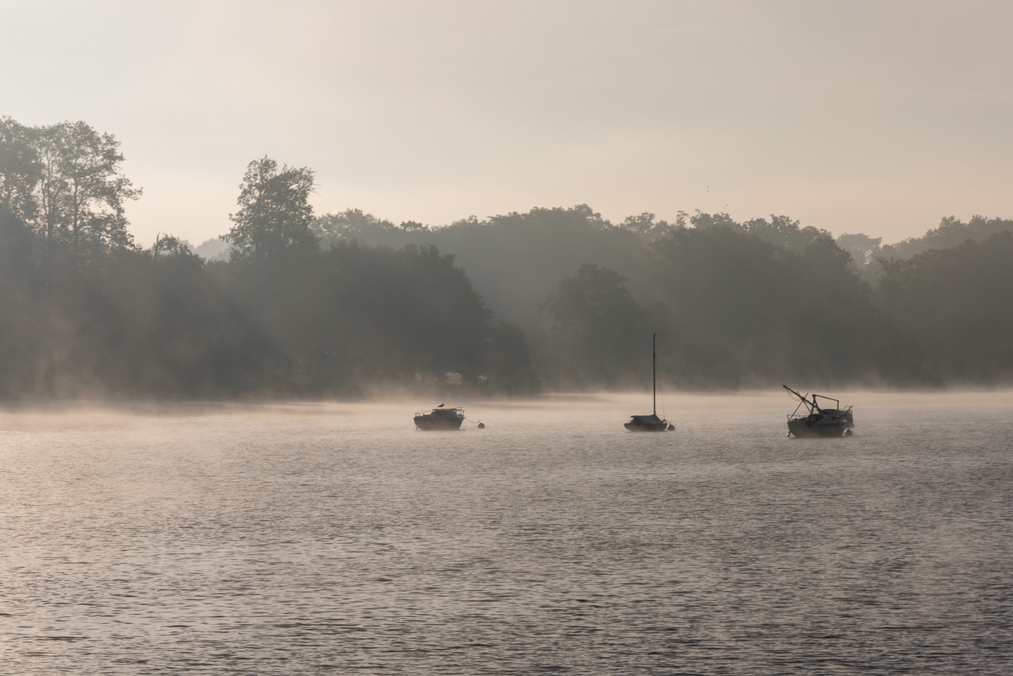 Matin brumeux #2