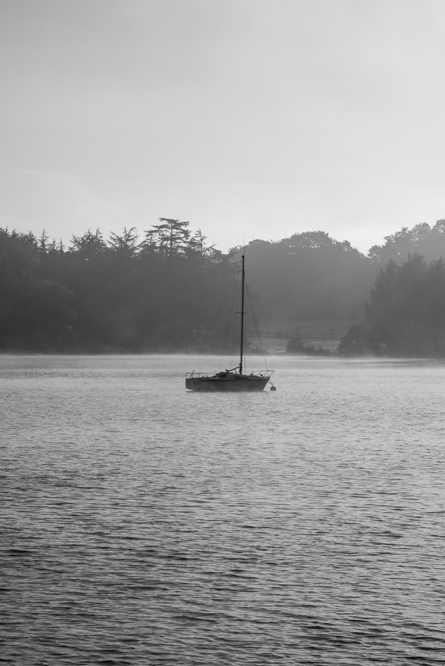 Matin brumeux #3