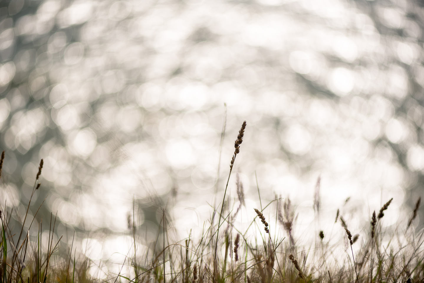 Perdu dans un bokeh d'océan