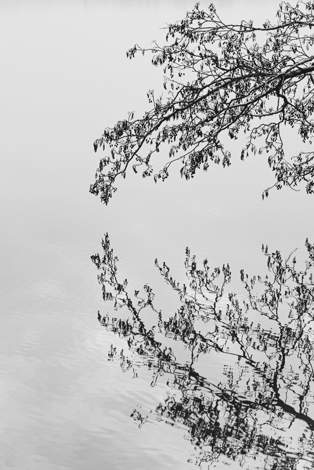 Reflets dans l'eau #2